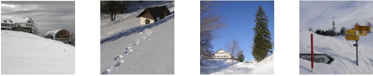 schneeschuhtouren jura