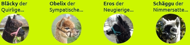 sanfter-tourismus-schweiz
